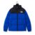 The North Face 
Hooded Down Puffer