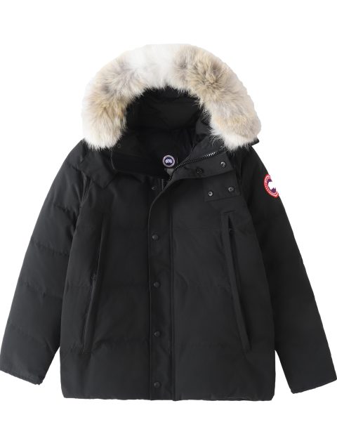 Canada Goose