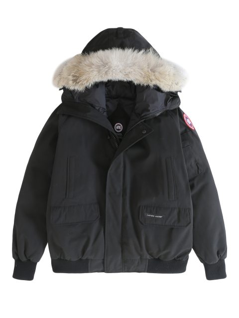 Canada Goose