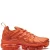 Nike Air Max Plus TN